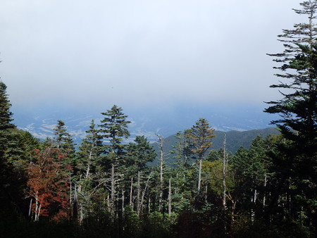 P9290052