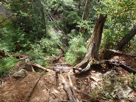 P9300203