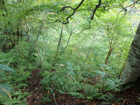 PA080018