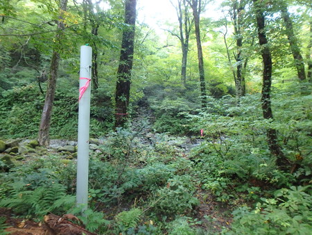 PA080021