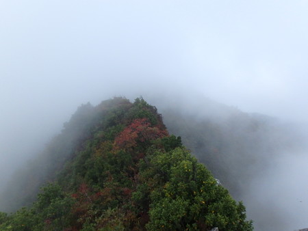 PA080073