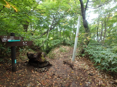 PA080095