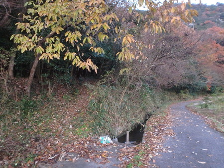 PC030252