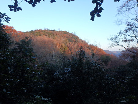 PC030263