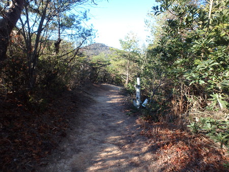 PC170373