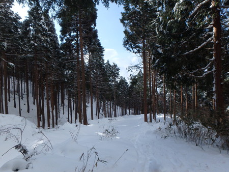 P1060053