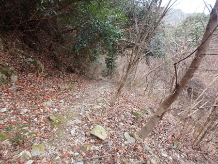 P1140040