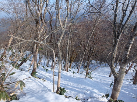 P1200068