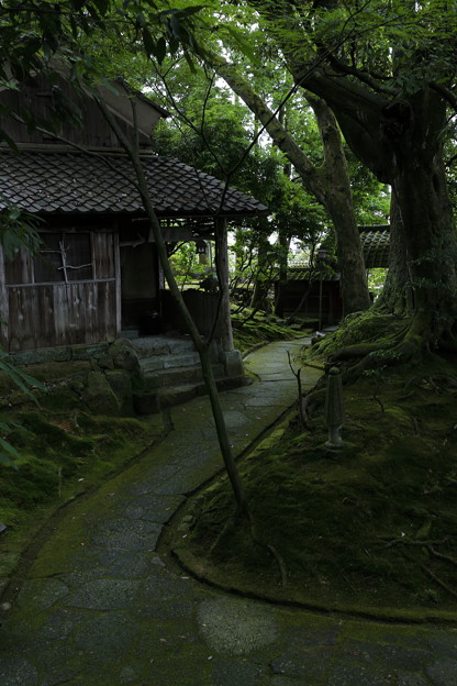 福井龍馬紀行18