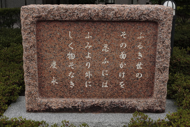 福井龍馬紀行61