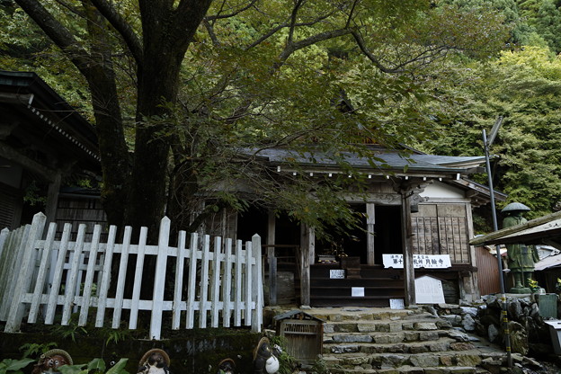 京都･愛宕山24