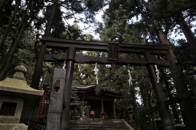京都･愛宕山15