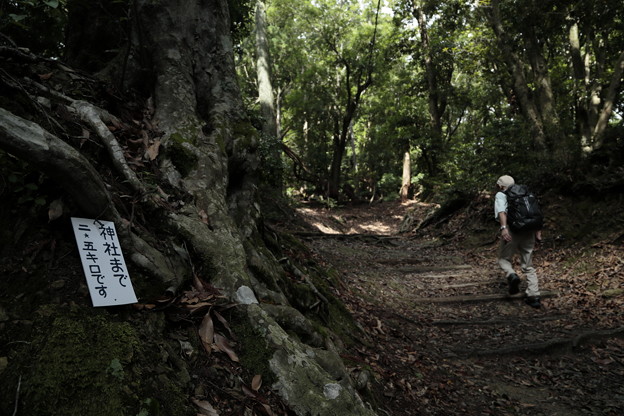 京都･愛宕山08