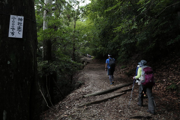 京都･愛宕山09