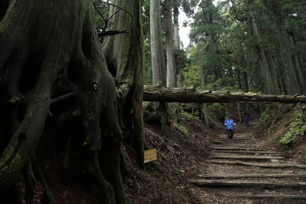 京都･愛宕山11