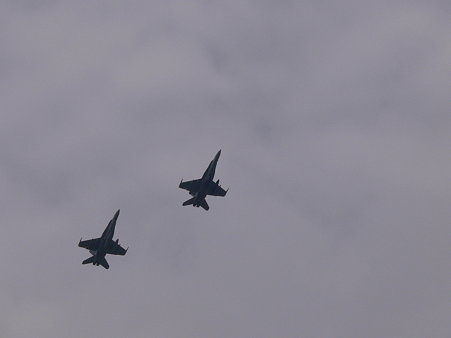 空の色と同化