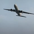 フェリーの上空を飛行機が～～