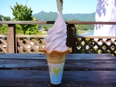 ラベンダーソフト
