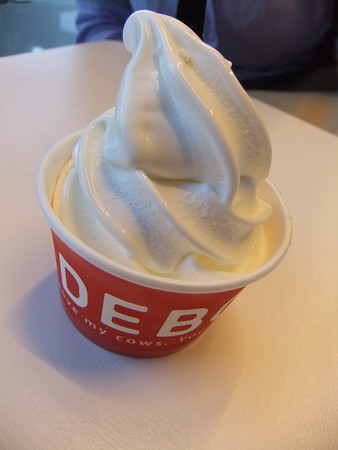 DSCF0029