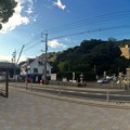Photos: シリブカ公園. 被爆樹木クスノキ 広島東照宮 広島市東区 二葉の里2丁目1番交差点周辺 2016年9月23日