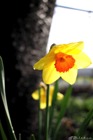 Blog_20170429_00006