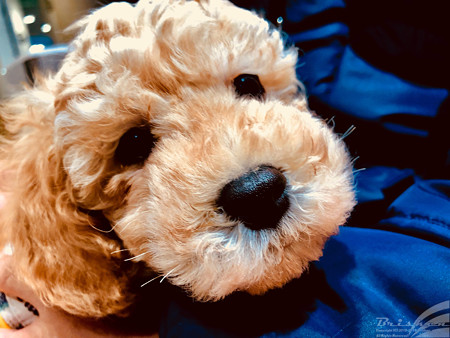Blog_20180114_002