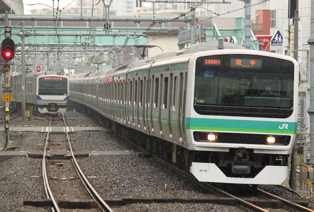 線 常磐 JR東日本E231系「横須賀色」常磐線でも夏頃まで運行、品川駅発着も