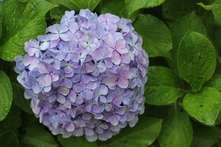07