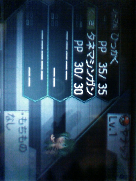 念願のタネマシンガン おふぅ W 写真共有サイト フォト蔵