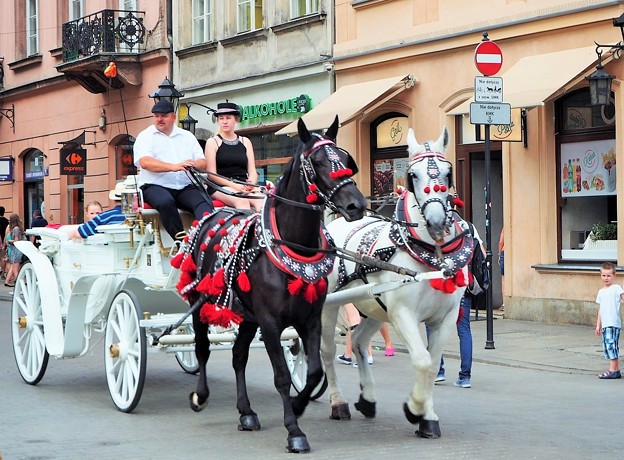 観光馬車 Carriage ride