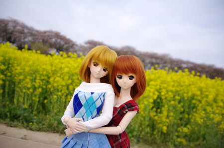 IMGP8562