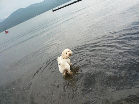 くーかい 山中湖を楽しむ2