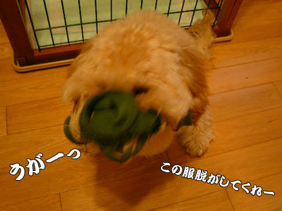 アグリーくーかい 2