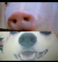 090829_2130~0001-0001-0001-0001