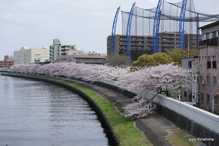 DSC06770