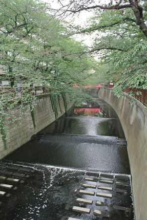 目黒川／中の橋