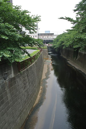 目黒川／中目黒駅付近にて