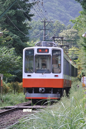 箱根登山鉄道／小涌谷ー彫刻の森