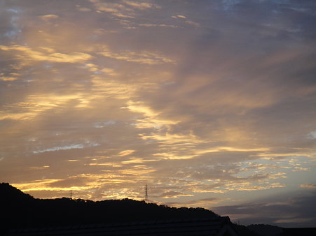 DSC04385