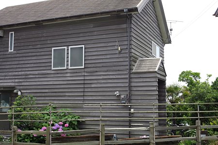 2009.06.13　稲村ヶ崎　紫陽花