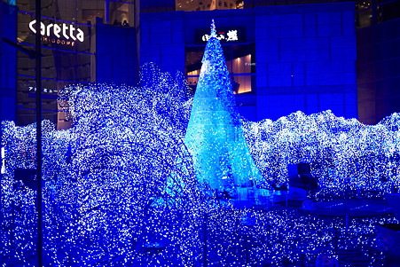 2010.12.04　汐留　BLUE OCEAN　「約束のツリー」