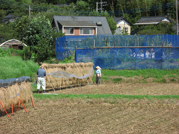 実りの秋・稲架掛け：2007_0917_A640_IMG_1747