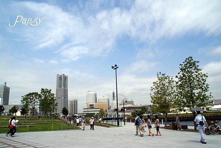 夏の休日・・ 大きな空が見える公園