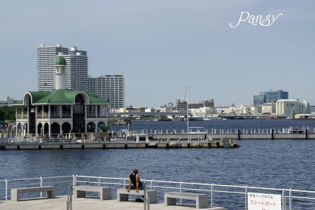 海辺のベンチ・・