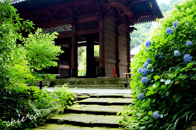 鎌倉-163