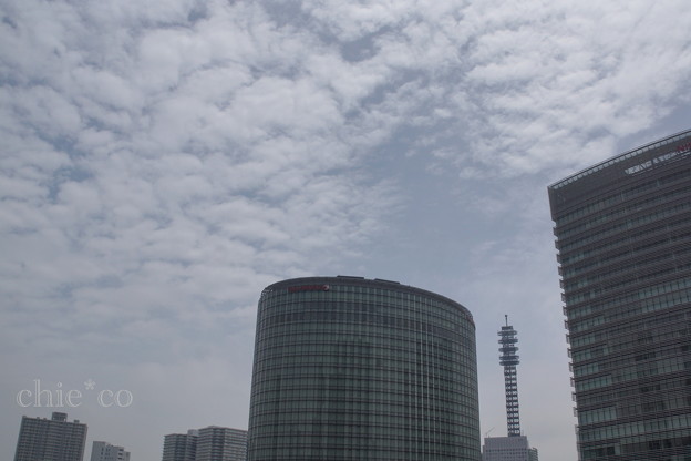 Yokohama-072