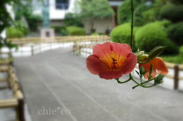 浄性院-089
