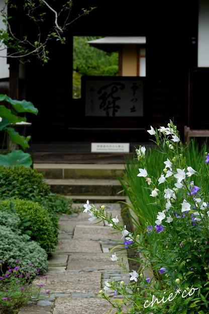 鎌倉-555