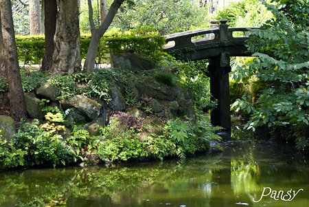 石橋のかかる池・・