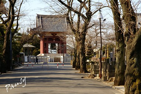 本門寺鐘楼 池上さんぽ~21